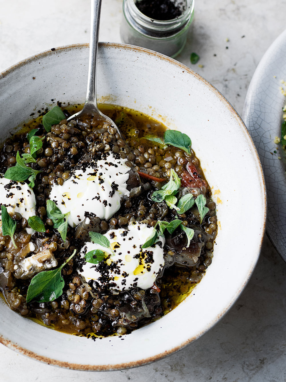 Puy lentil and eggplant stew